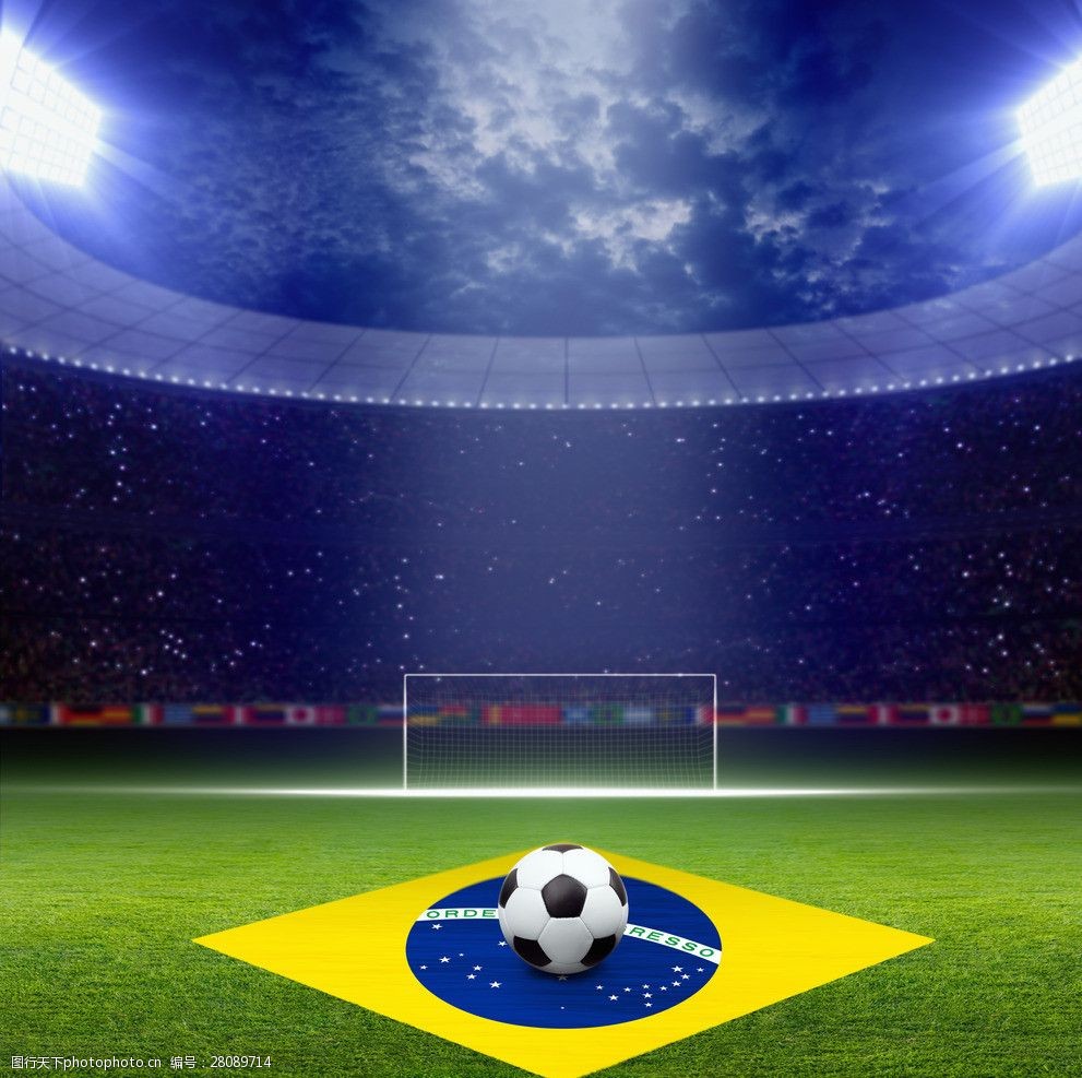 尽管灰熊队 尽管灰熊队