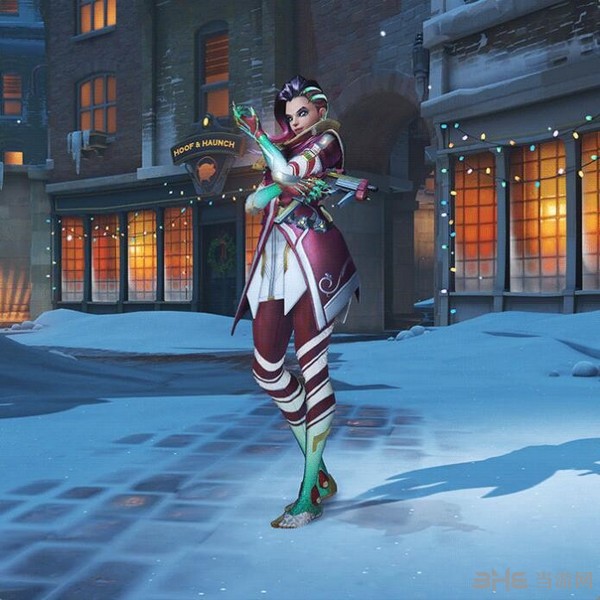 的双重适应 的双重适应